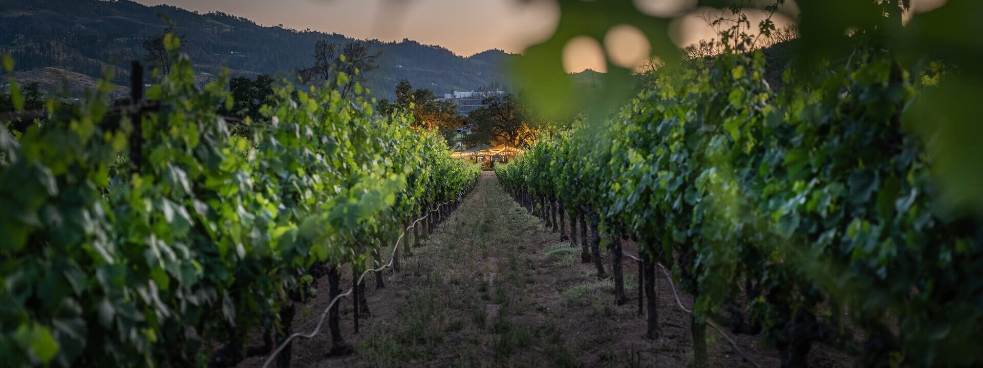 artisans-of-wine-and-food-toastmaker-hero